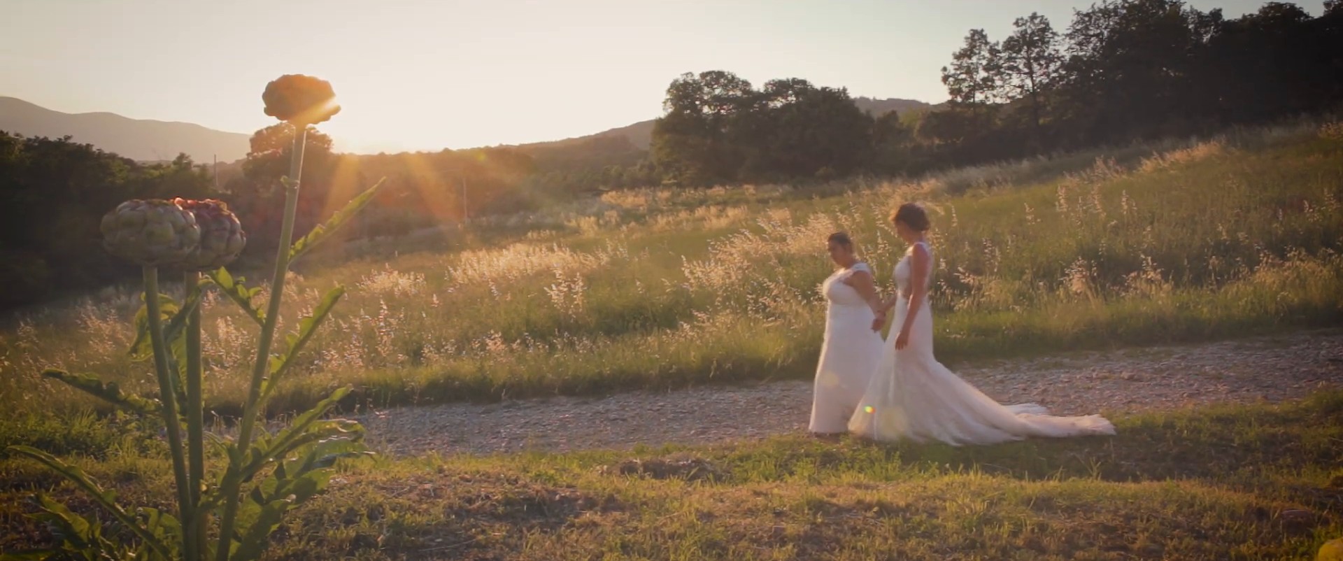 Sandra e Debbie camminano nell’erba alta al tramonto, fotogramma dal loro film